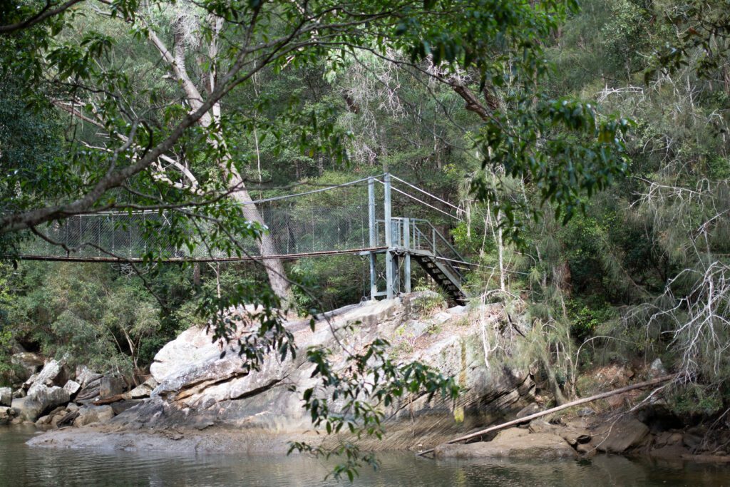 Piles creek features a large swing bridge and it one of the great walks in the area
