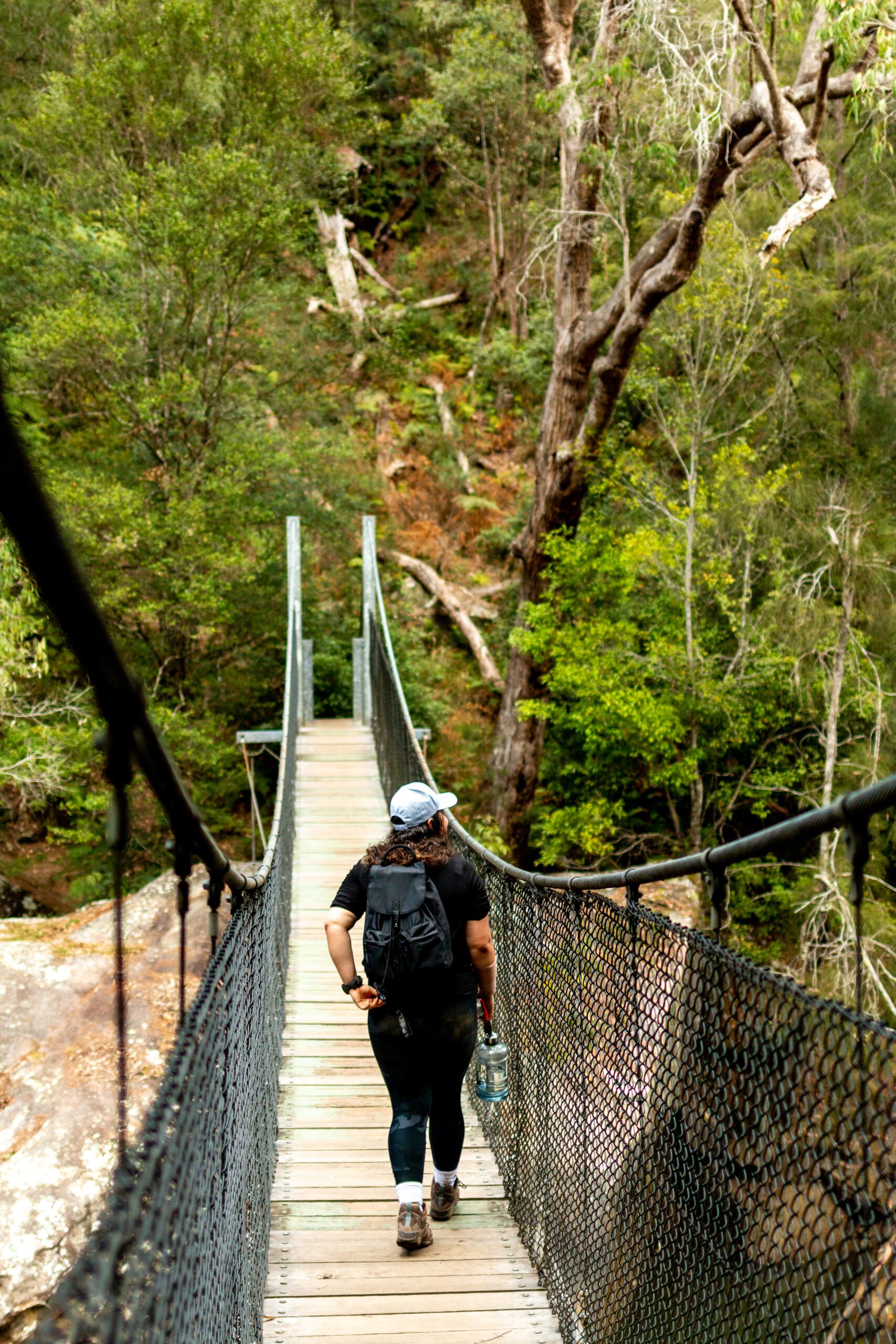 The piles creek look is one of the best hikes central Coast has to offer and features a large swing bridge