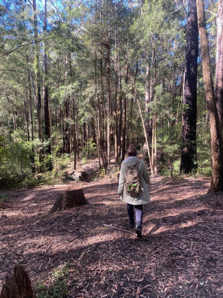 Abbotts falls walking track