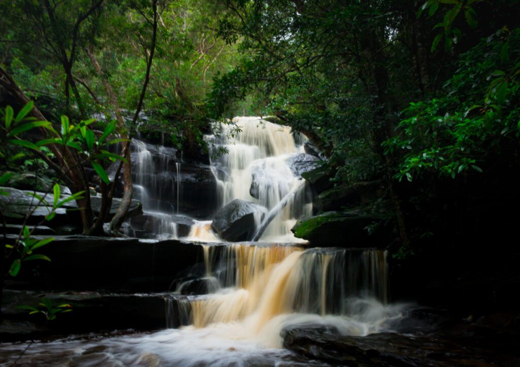 Somersby falls is one of the best family friendly hikes Central Coast has to offer. 