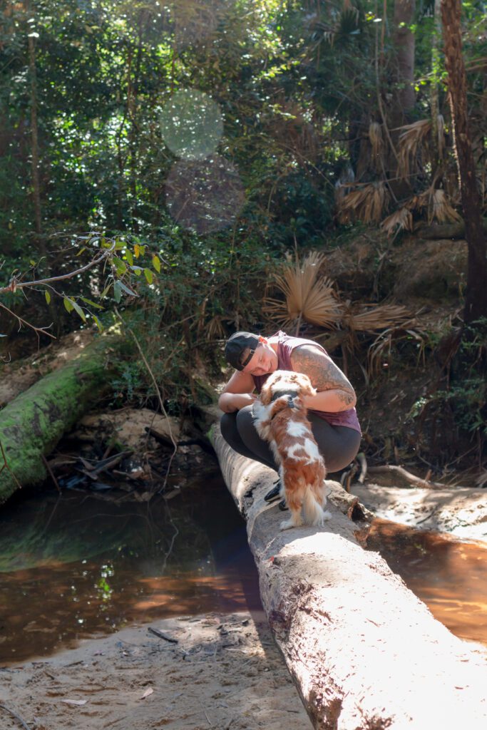 This hike is perfect for the whole family! Stickland forest is dog friendly and kid friendly! These varied hikes offer a fun bushwalk for any fitness level