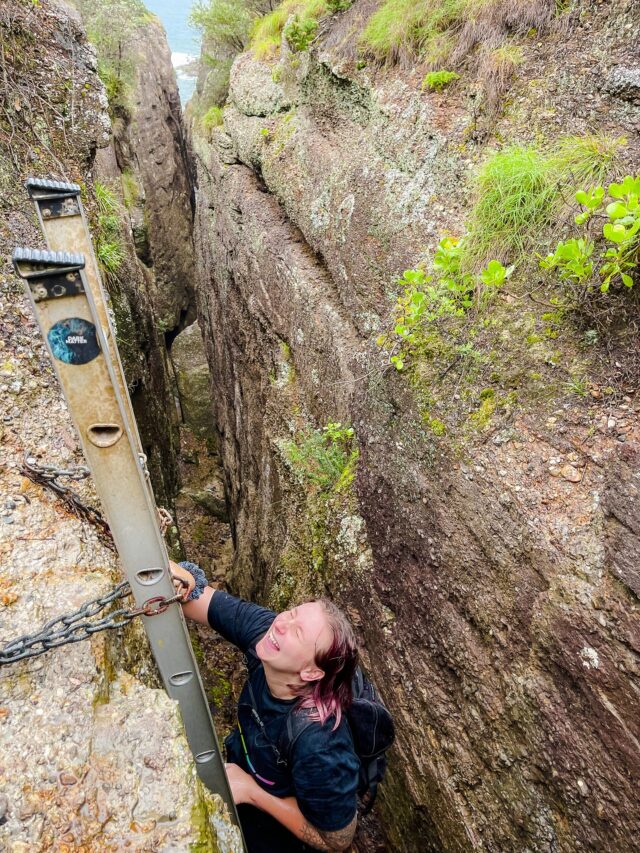 shark hole lake macquarie