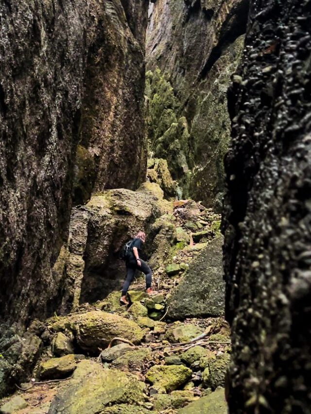 find out what to pack in your hiking day pack