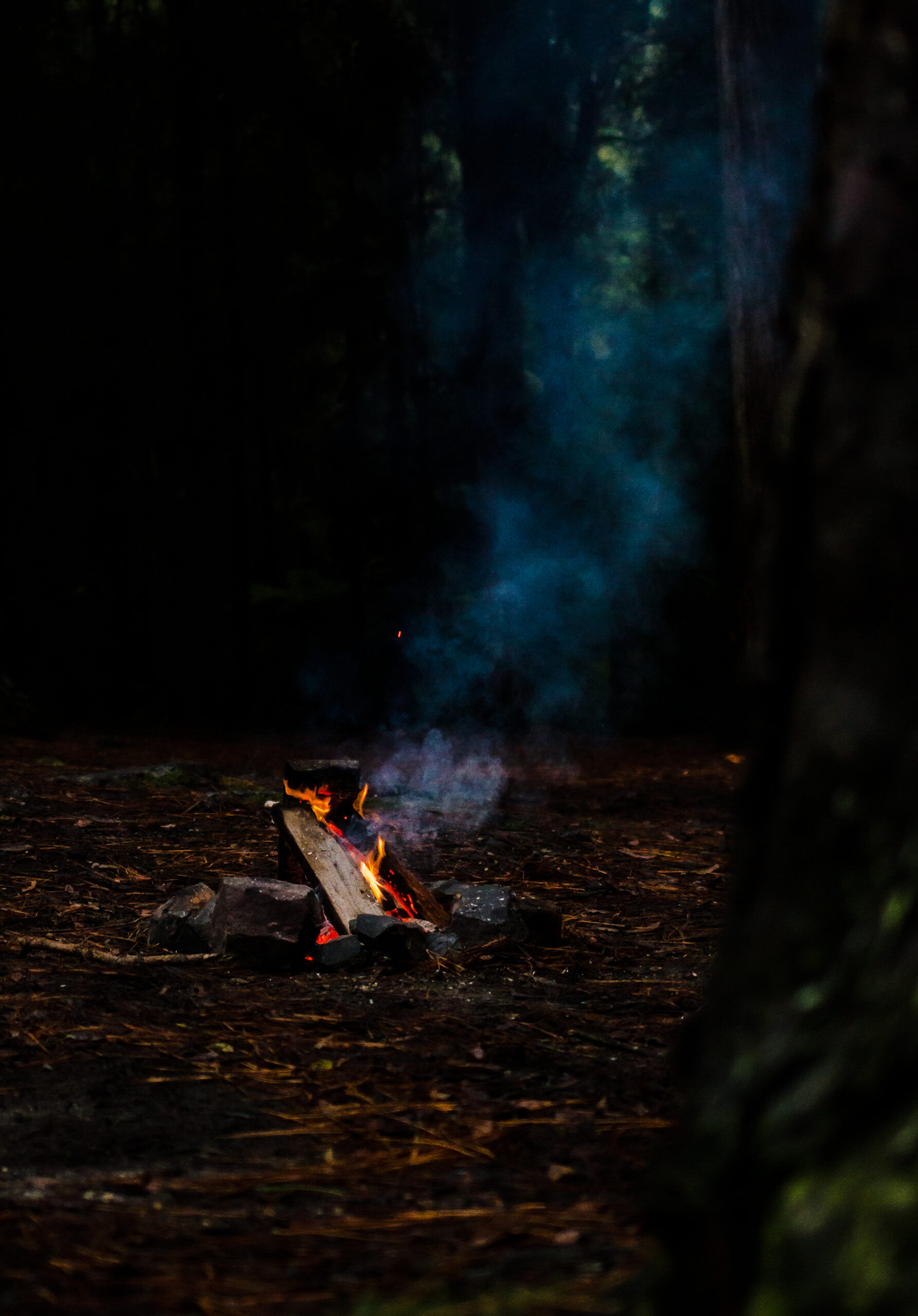 eco friendly campfires