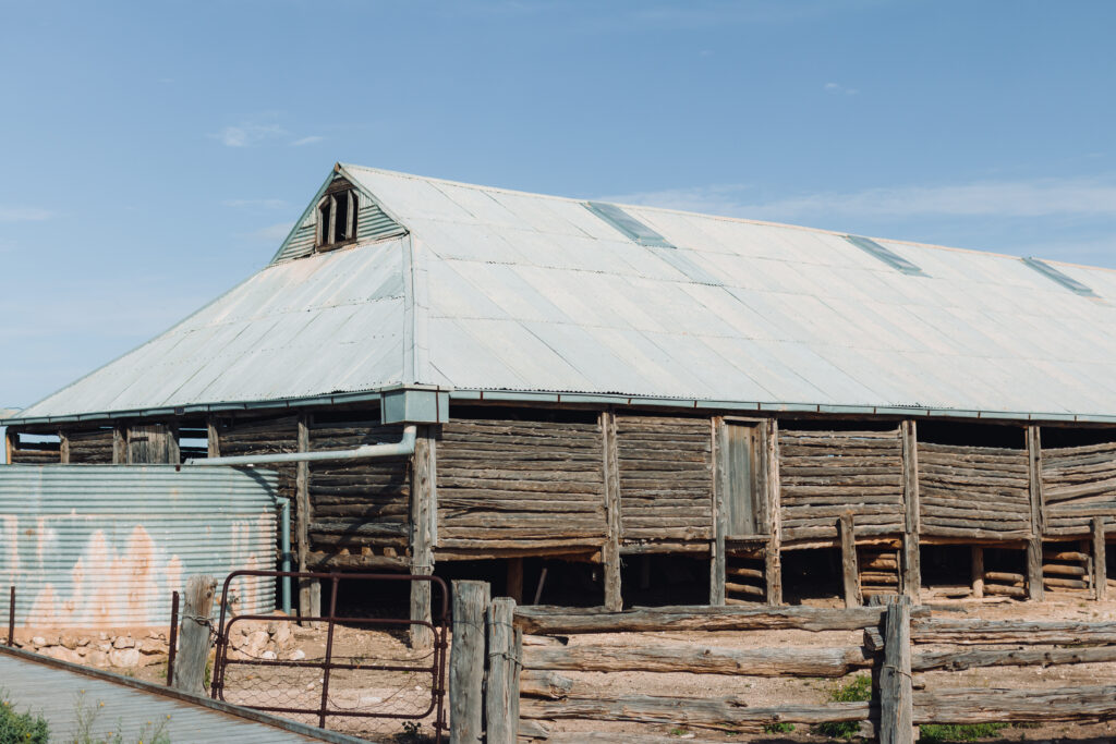 book the Mungo Woolshed tour and learn about the history of the men who worked the area shearing sheep by hand