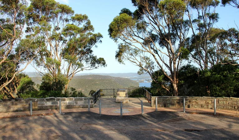 staples lookout