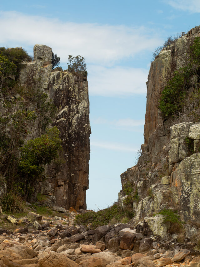 diamond head campground