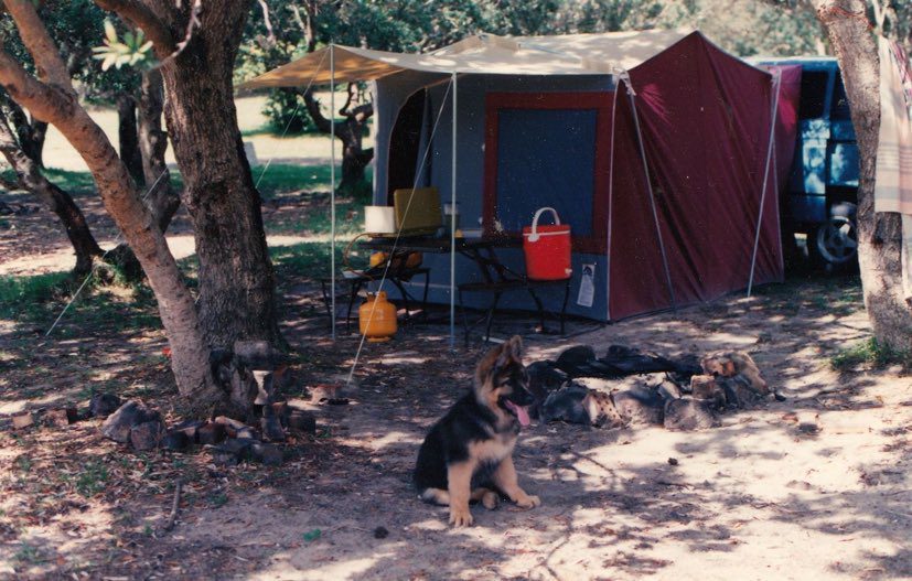 dog friendly campground NSW
